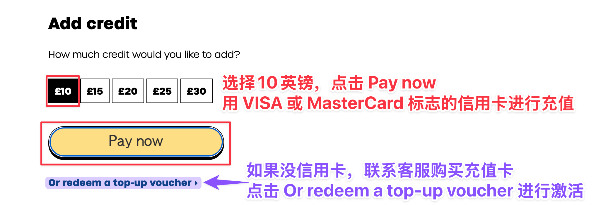 选择充值金额并点击 Pay now